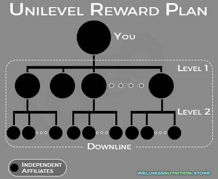 Northe Star Business:  What is unilevel Reward Plan