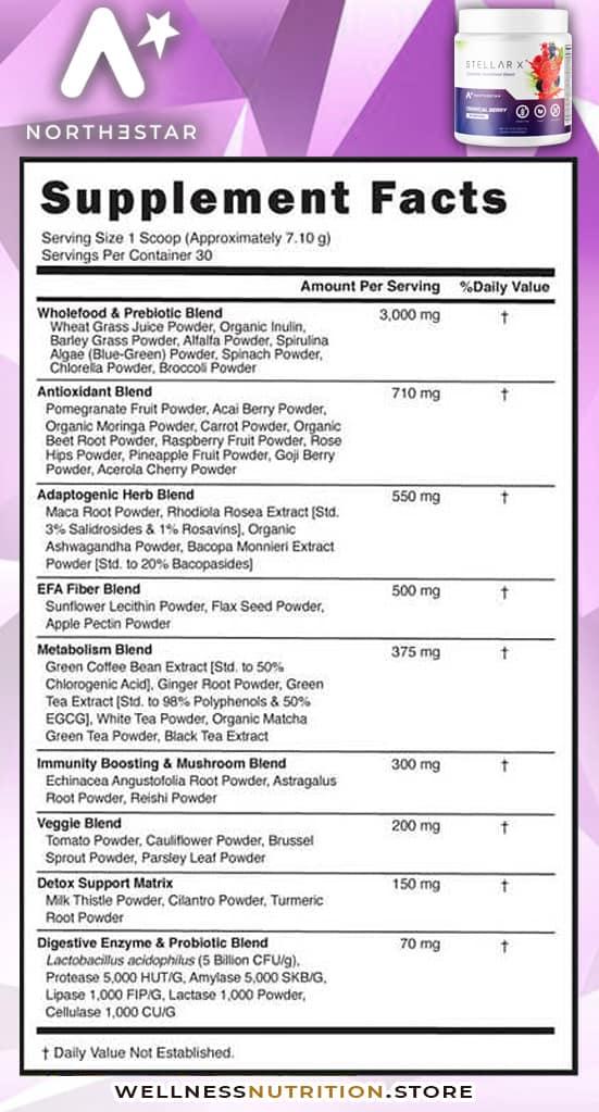 Norte Star Stellar0X: Ingredients