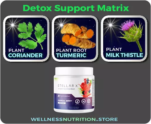 Northe Star Stellar-X Ingredients: Detox-Support-Matrix