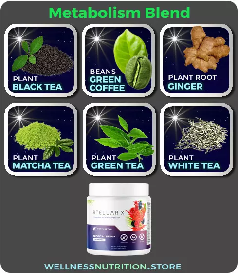 Northe Star Stellar-X Ingredients: Metabolism-Blend