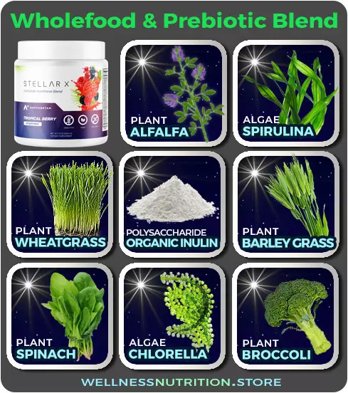 Northe Star Stellar-X Ingredients: Wholefood-&-Prebiotic-Blend