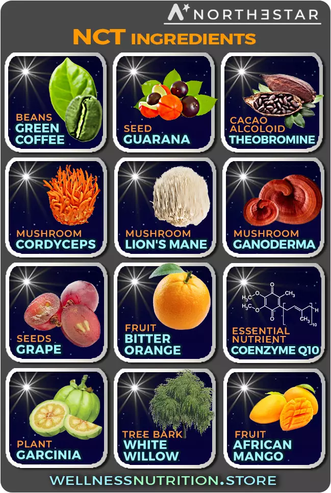 NortheStar NCT ingredients